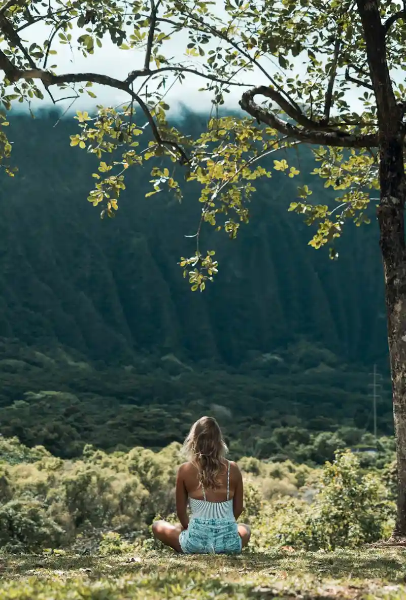 mindfulness persona plena